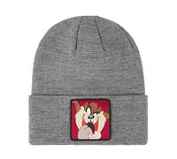 Capslab Bonnet Homme Looney Tunes (TAZ Grey)