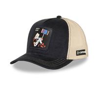 Casquette Homme & Femme, Casquette Trucker DC Comics, Ajustable par Snapback, Noir Taille TU