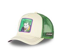 CAPSLAB HFT Casquette Trucker Freegun DC COMICS Batman Robin Meme Casquette