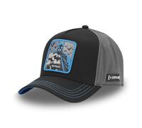 CAPSLAB HFT Casquette Trucker Freegun DC COMICS Batman Robin Meme Casquette