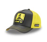 CAPSLAB HFT Casquette Trucker Freegun DC COMICS Batman Robin Meme Casquette
