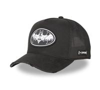 CAPSLAB HFT Casquette Trucker Freegun DC COMICS Batman Robin Meme Casquette
