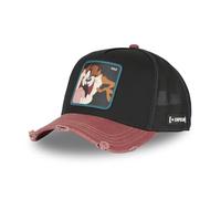 Capslab Taz Looney Tunes Noir Look Usagé Casquette de Camionneur