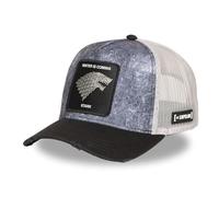Capslab Winter is Coming Stark Game of Thrones Gris Noir Casquette de Camionneur Réglable