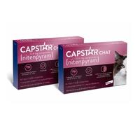 Capstar chat Anti-puce chat de 1 à 11kg lot de 2 boites