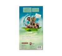 Capstone Games Ark Nova Zoo Map Pack 2 - Kit d'extension d'accessoires de Jeu, élargissez Votre Collection, Toutes Les Nouvelles mécaniques et mises en Page à Explorer