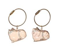 Capsule Boîte transparente en fourrure d'animal de compagnie, porte-clés pour recueillir les poils de chat et de chien, bouteille de rangement transparente pour poils de chats, souvenirs, sac à