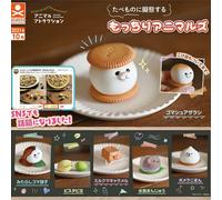 Capsule Japonaise Mignonne, Jouets, Animal De Nourriture Artificielle, Joint De Chat Sanhua Devient Une Collation Oiseau Shiba Inu Kawaii, Modèle Ornements Cadeaux