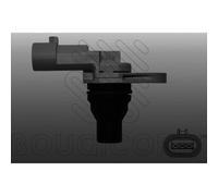 Capt.arbre Came Fae 141219