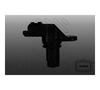 Capt.arbre Came Fae 144410