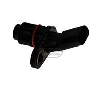 Capt.arbre Came Fae 147242