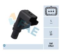 Capt.arbre Came Fae 79040f