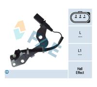 Capt.arbre Came Fae 79112f