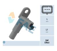 Capt.arbre Came Fae 79147f