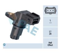 Capt.arbre Came Fae 79159f