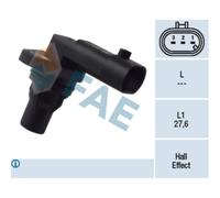 Capt.arbre Came Fae 79172f