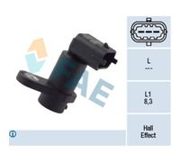 Capt.arbre Came Fae 79193f