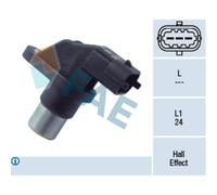 Capt.arbre Came Fae 79206f