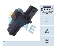 Capt.arbre Came Fae 79287f