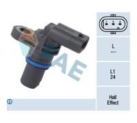 Capt.arbre Came Fae 79292f