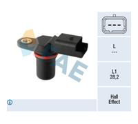 Capt.arbre Came Fae 79298f