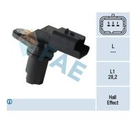 Capt.arbre Came Fae 79306f