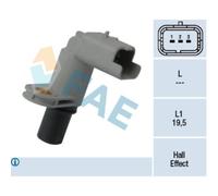 Capt.arbre Came Fae 79307f