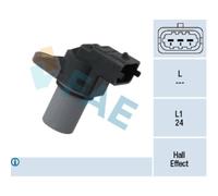 Capt.arbre Came Fae 79309f