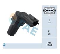 Capt.arbre Came Fae 79338f