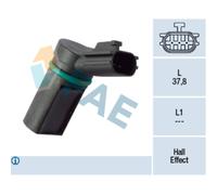 Capt.arbre Came Fae 79363f