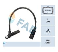 Capt.arbre Came Fae 79381f