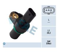 Capt.arbre Came Fae 79387f