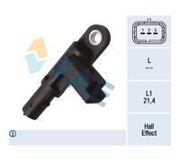 Capt.arbre Came Fae 79443f