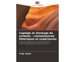 Captage et stockage du carbone - connaissances théoriques et expériences: Analyse de l'adsorption du CO₂ dans différents matériaux géologiques et échantillons d'eau