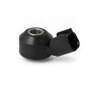 Capteur de cliquetis 60221 FAE pour JAGUAR LAND ROVER FORD