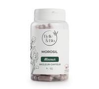 CAPTEUR DE GRAISSE- Complexe Morosil - 90 Gélules - Belle&Bio - Réduction ciblée de la masse grasse - Fabriqué en France