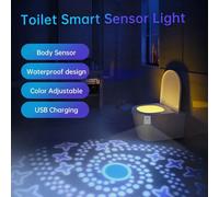 Capteur De Mouvement De Toilette Dc5v, Rétro-Éclairage Intelligent, Veilleuse Led, Lampe À Gradation Rechargeable, 500mah, Interrupteur De Batterie Au Lithium 14500-F16 Dc5v Type-C