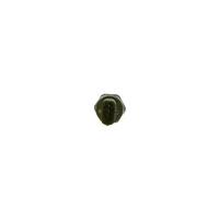 Bosch Capteur de pression de carburant 0 281 002 903