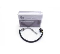 ESEN SKV 30SKV116 Palpeur de température des gaz