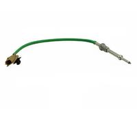 FAST FT80238 Palpeur de température des gaz