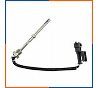 NTY EGT-PL-017 Palpeur, température des gaz
