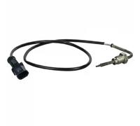 DELPHI TS30010 Palpeur, température des gaz
