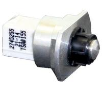 Capteur De Température Wolf HWT 2x5K NTC Pour CGB-2