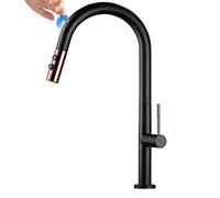 Capteur de touche Touch Sortez les robinets de cuisine en laiton pivot
