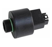 manomètre Bosch 8718600018 type 505.99017