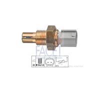 10.4024 Sonde Temper.