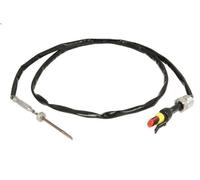 Capteur, température des gaz DINEX 22041 pour DAF XF 105 12.903 2005-