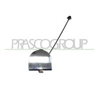 Capuchon Crochet De Remorquage Prasco FT0301287 pour Fiat Arrière