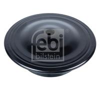 Capuchon De Printemps FEBI BILSTEIN 19381 Pour SEAT, VW