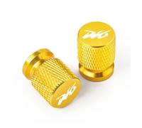 Capuchon de Valve de Pneu pour Jante pour Dio DJ-1 DJ-1RR AF19 AF18 SR AF20 ZX AF28 ZX AF35 Baja AF28 Z4 AF56/57 50cc 125cc Ensemble De Bouchons De Valve De Moto(Ww-3)